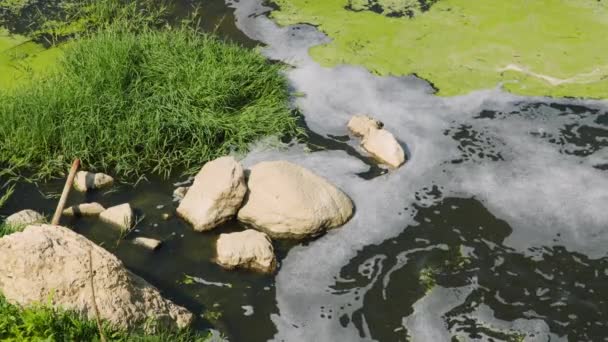 Toxische Gevaarlijke Waterturbulentie Als Gevolg Van Chemisch Afval Rivier — Stockvideo