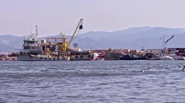 Balıkçı Limanı 'nda uçan deniz kuşları..