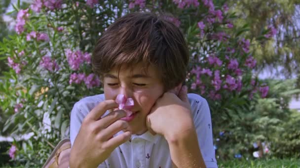 Adolescente Menino Deitado Propenso Grama Refrescante Cheira Flores — Vídeo de Stock
