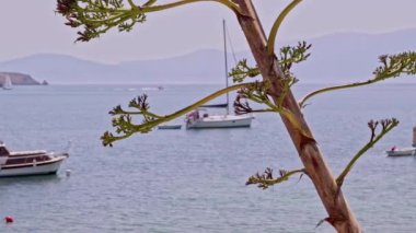  Yaz Turizm sezonu boyunca Ağaçların Arkasında Denizde Eğlence Tekneleri