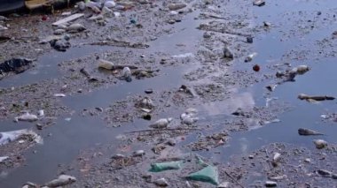 Okyanus Suyu Kirliliği Üzerine İnsan Atık Çöpü