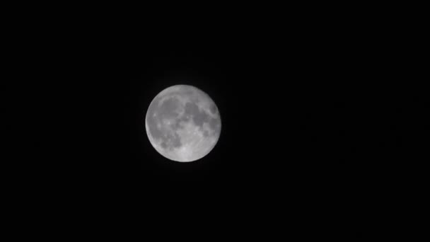 Luna Piena Nel Cielo Filmati Movimento — Video Stock