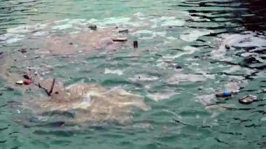 Yiyecek ve içecek insan çöpü Denize atıldı.