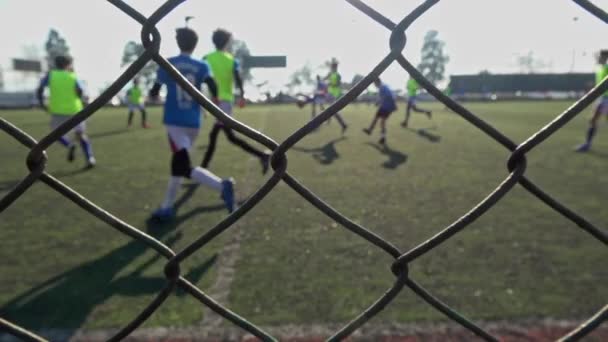 Football Soccer Training Match Footage — 图库视频影像