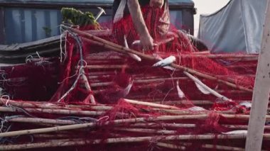 Fishermen Untangling Fish from Nets in Fishing Boat