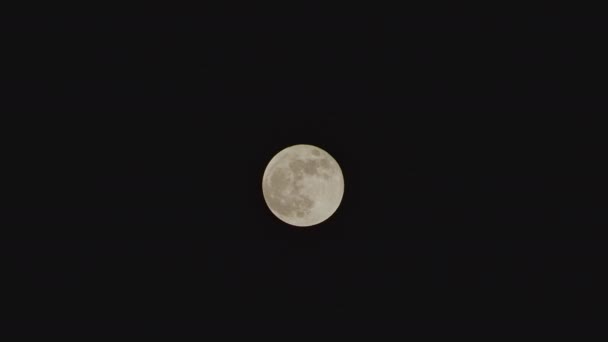 Full Moon Glowing Dark Black Night — Video