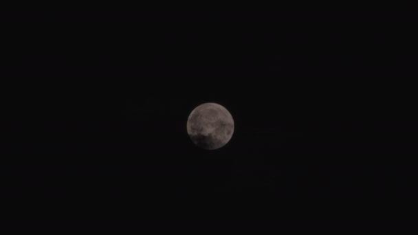 Full Moon Dark Clouds Night — Video Stock