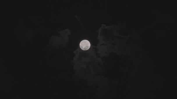 Full Moon Dark Clouds Night — Video