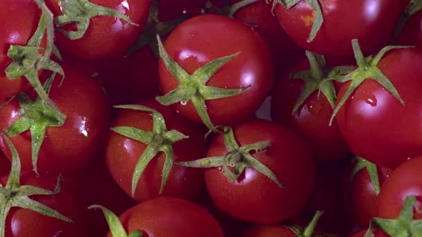 Delicious Red Tomatoes Summer Market Agriculture Farm Full Organic Fresh — Video Stock