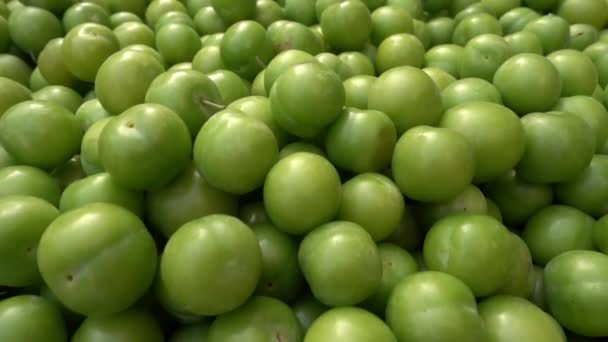 New Harvest Season Delicious Organic Fresh Sour Green Plum Pile — Vídeo de Stock