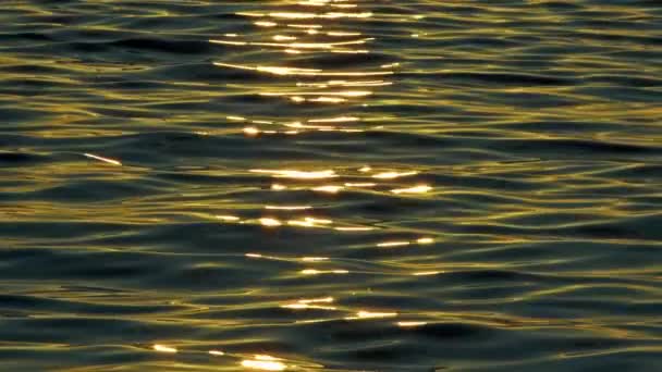 Yellow Sunset Ocean Water Gleam — ストック動画