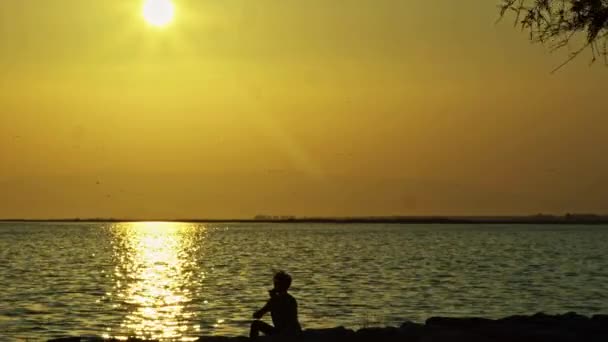 Силует Самотньої Людини Сидячи Дивлячись Море Біля Берега Жовтому Заході — стокове відео