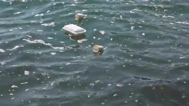 Пластиковые Кубки Столовые Приборы Брошенные Голубое Море Загрязнение Воды — стоковое видео
