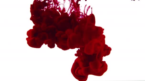 Červená Zemina Kapky Tekutého Inkoustu Kapající Vody — Stock video