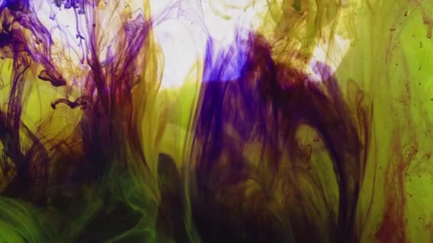 Dança Abstrata Propagação Tintas Coloridas Tintas Fundo Água — Vídeo de Stock