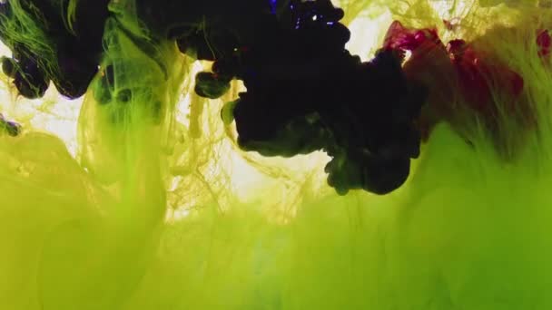 Danza Abstracta Propagación Coloridas Pinturas Tinta Fondo Del Agua — Vídeo de stock