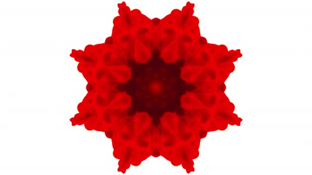 Kaleidoscoop Kleurrijke Organische Verf Inkt Mandala Art Design Abstract Achtergrond — Stockvideo