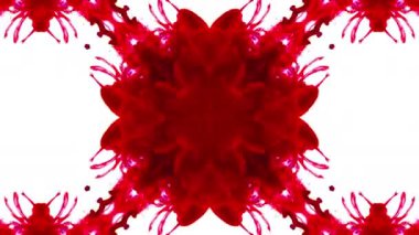 Kaleyidoscope Renkli Organik Boya Mürekkep Mandala Sanat Tasarımı Soyut Arkaplan Görüntüsü.