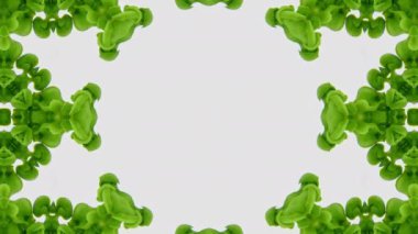 Kaleyidoscope Renkli Organik Boya Mürekkep Mandala Sanat Tasarımı Soyut Arkaplan Görüntüsü.