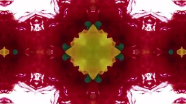 Kaleyidoscope Renkli Organik Boya Mürekkep Mandala Sanat Tasarımı Soyut Arkaplan Görüntüsü.