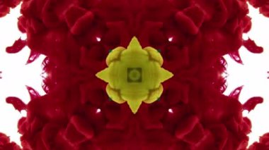 Kaleyidoscope Renkli Organik Boya Mürekkep Mandala Sanat Tasarımı Soyut Arkaplan Görüntüsü.