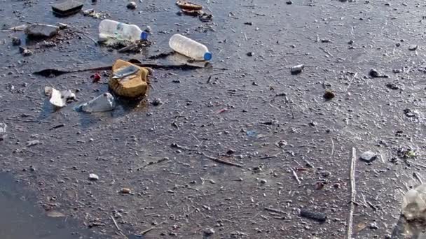 海水中のボトルとプラスチック廃棄物環境災害汚染ガベージー — ストック動画