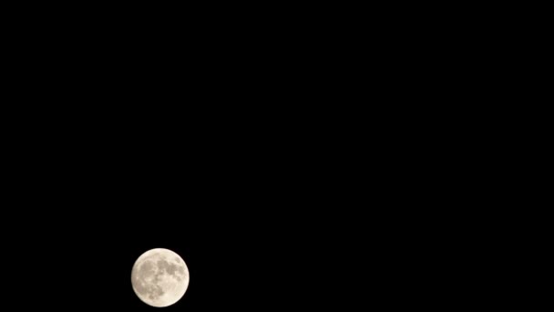 Stijgende Volle Maan Donkere Nacht — Stockvideo