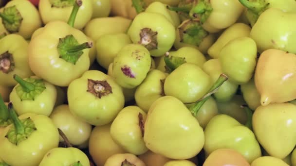 Haufen Bio Tomaten Ohne Pestizide Angebaut — Stockvideo