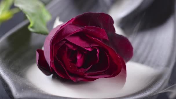 浪漫的红玫瑰在烟熏的镜头中 — 图库视频影像
