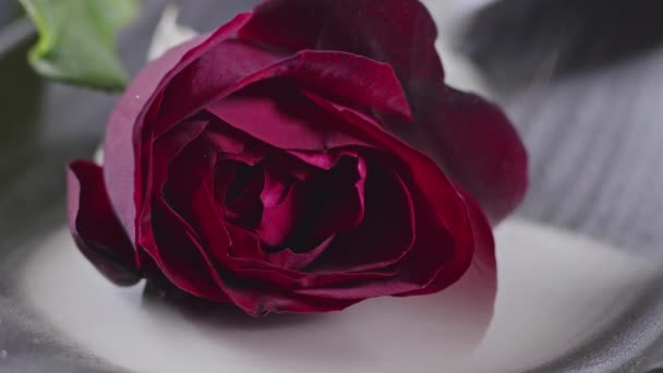 Romantica Rosa Rossa Nel Filmato Fumo — Video Stock