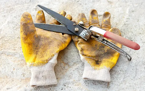 Ciseaux de jardinage et gants jaunes sales — Photo