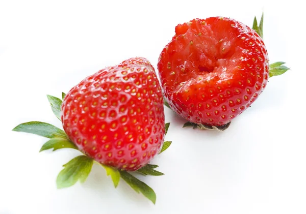 Gros plan sur deux délicieuses fraises bio — Photo