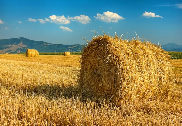 Grandes balles rondes de paille dans la prairie — Photo