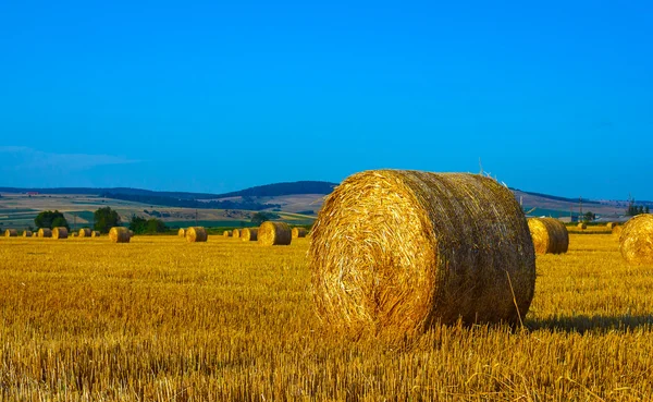 Grandes fardos redondos de paja en el prado — Foto de Stock