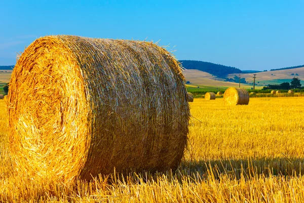 Grandes balles rondes de paille dans la prairie — Photo