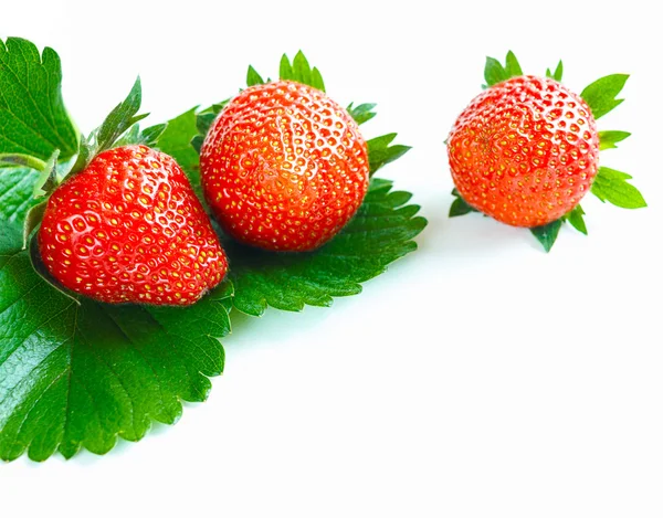 Close-up of three fresh vibrant strawberries — Stock Photo, Image