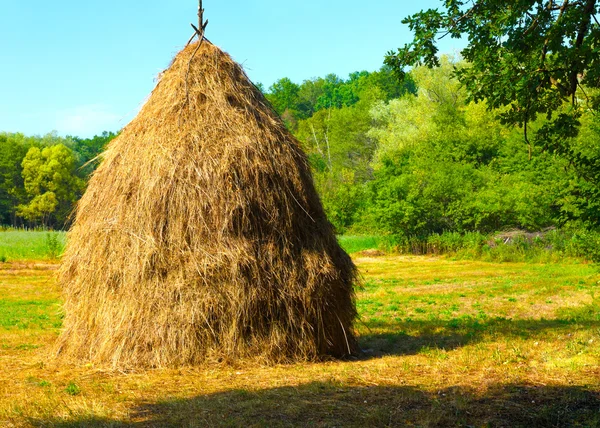 Close-up of a single big haystack near forest — Stock Photo, Image