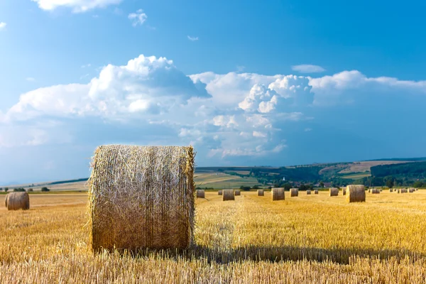 Grandes balles rondes de paille dans la prairie — Photo