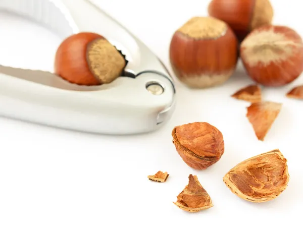 Macro close-up of cracked brown hazelnut on white background. — Stock Photo, Image