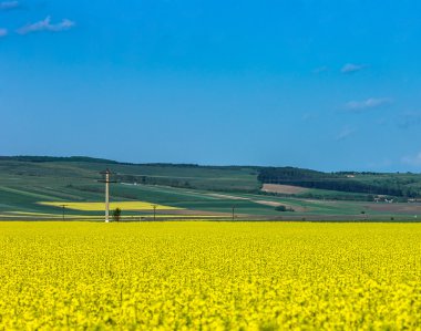 ve dağlar ve ufuk ile tecavüz alan