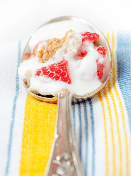 Strawberry bitar flingor och yoghurt i vintage sked — Stockfoto