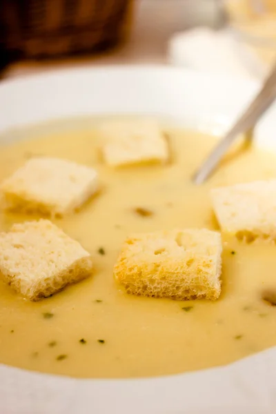 Mushroom cream with tasty bread croutons — Stock Photo, Image