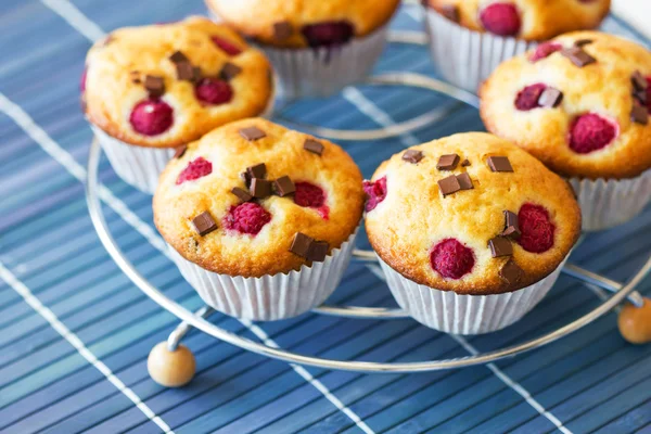 Groep van heerlijke muffins geplaatst op metalen grill — Stockfoto