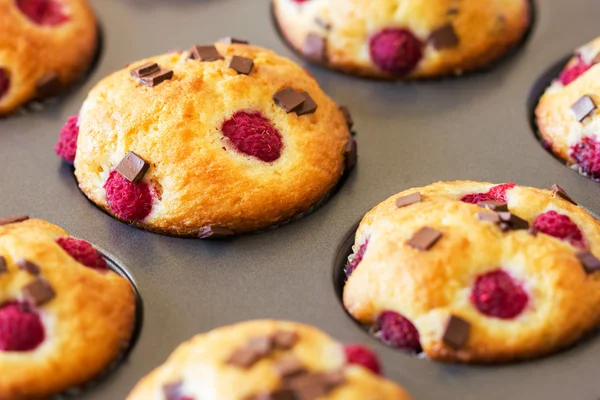 Leckere Muffins in grauen Tablett gelegt — Stockfoto