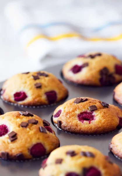 Deliciosos muffins colocados em bandeja preta — Fotografia de Stock