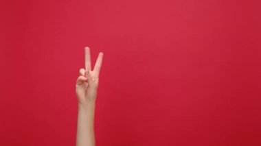 Kadın elleri megafonu tutuyor barış işareti iki parmağını yukarıda tutuyor reklam içeriğiniz için hoş geldin jest fotokopisi alanı gösteriyor, kırmızı arka planda izole edilmiş. Zafer kutlaması ve zafer konsepti