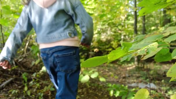 Sonbahar Ormanlarında Yürüyen Küçük Kız Çocuğuna Özenli Bir Bakış Açısı — Stok video