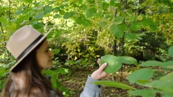 Sonbahar Günü Ormanda Yürüyüş Yapan Genç Bir Kadının Seçici Odak — Stok video