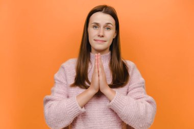 Yalvardı mutlu öğrenci güzel esmer kadın 20 'li yaşlarda pembe örgülü süveter elleri dua jesti içinde katlanmış, bir şey için yalvarıyor stüdyodaki turuncu renkli arka plan duvarında izole edilmiş poz veriyordu.