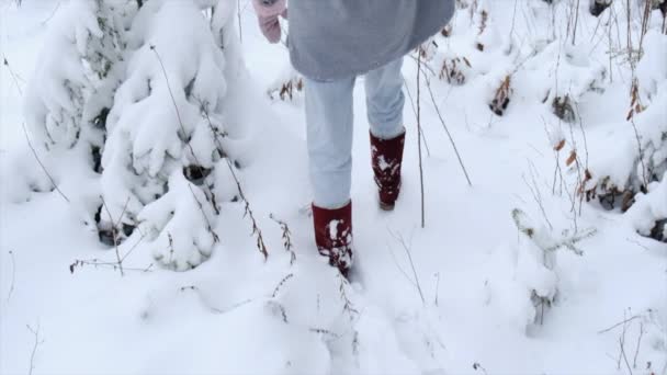 Foco Seletivo Jovens Caminhadas Floresta Dia Inverno Menina Ativa Desfrutando — Vídeo de Stock